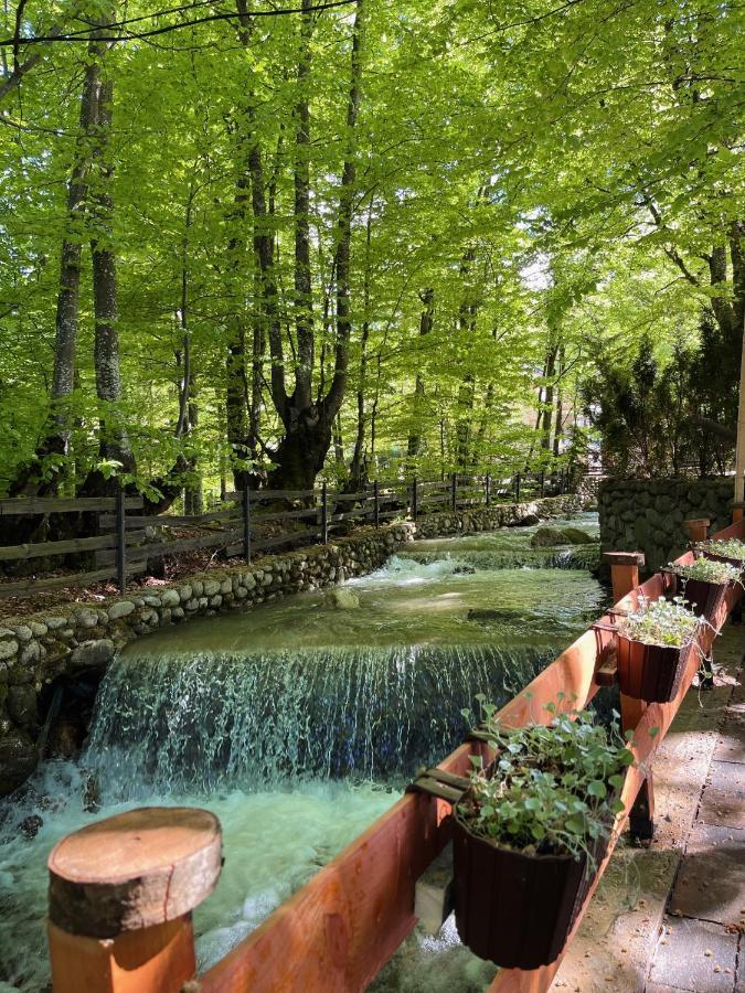 De La Villa Brezovice Buitenkant foto