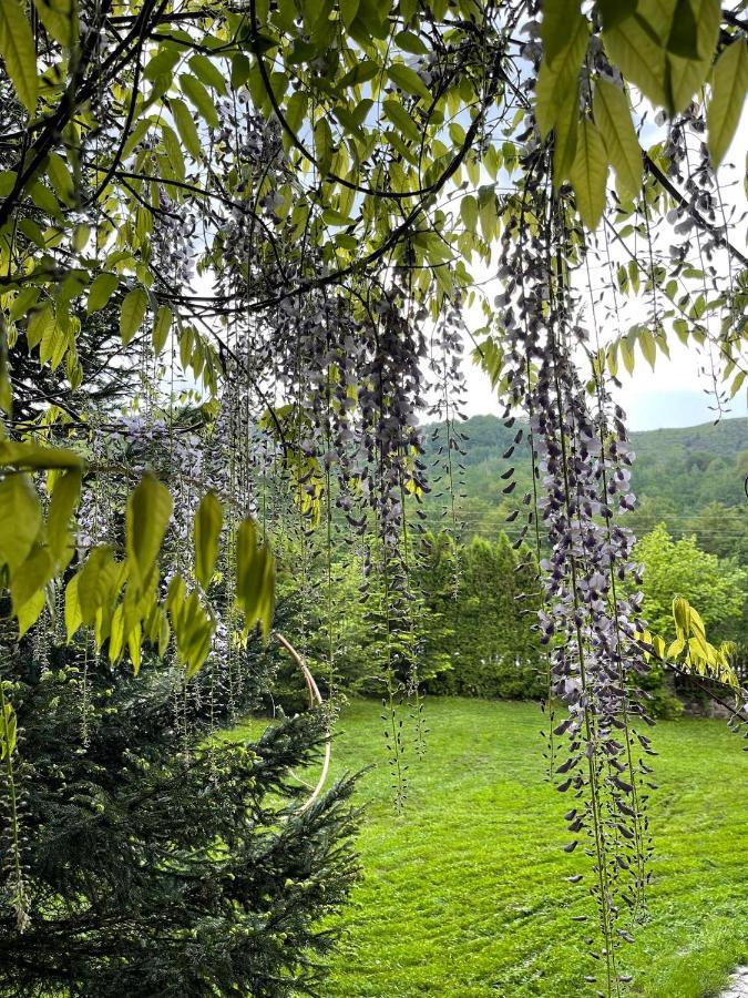 De La Villa Brezovice Buitenkant foto